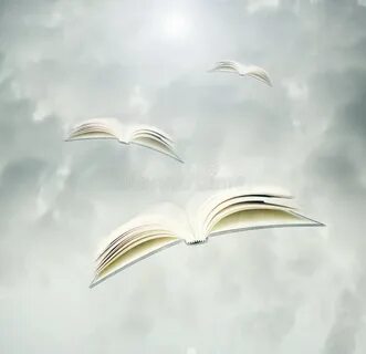 Книга в полете