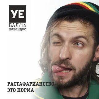 Напас лавандос