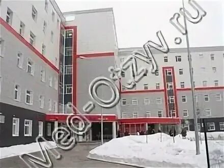 Филиал 23 детской поликлиники. Гбуз дгп № 23 дзм. Москва, улица недорубова, д. Гп 23 жулебино. Филиал 23 детской поликлиники.