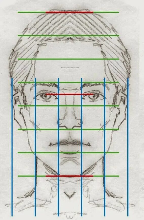 Портрет по пропорциям. Пропорции лица человека при рисовании портрета схема. Пропорции головы человека референс. Портрет (конструкция головы человека. Как строить лицо.