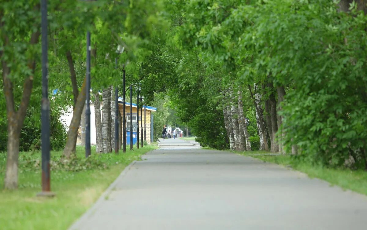 Светлоярский парк нижний новгород. Сормовский район Нижний Новгород. Озеленение города Нижний Новгород. Поселок Дубравный Сормовский район.