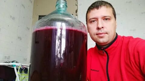 Вино домашнее из сока черноплодной рябины