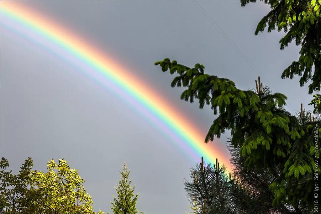 Iz rainbow. Радуга. Радуга весной. Радуга после дождя. Радуга картинка.