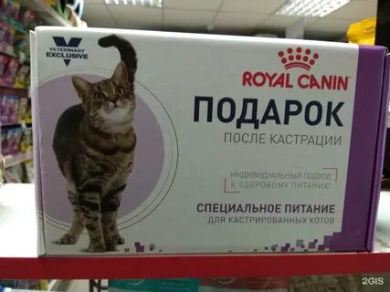 Чем кормить кастрированного кота