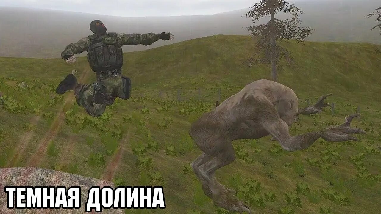 Эффект темной долины. Феномен темной долины. Сталкер тайные тропы женщина. Тайна темной долины. Тайна зоны история стрелка пролог.