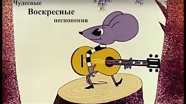 Какой чудесный день моя струится