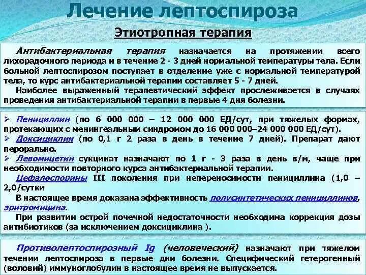 Антибиотики при хпн