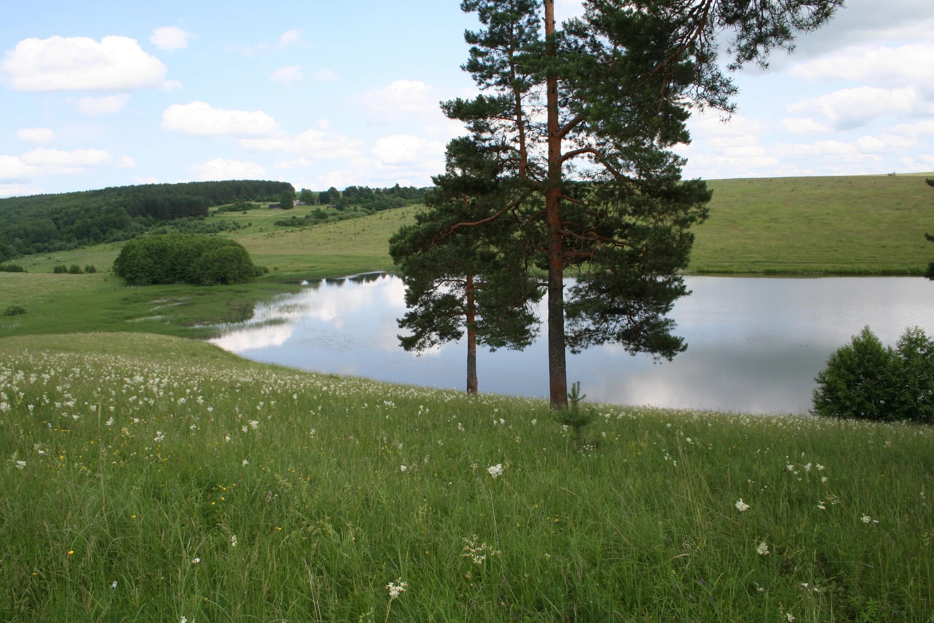 Родной край нижегородской области. Живописная природа Воскресенского района Нижегородской области. Дальнеконстантиновский район Нижегородская область природа. Природа леса Воскресенского района Нижегородской области. Д- Константиново Нижегородской области природа.