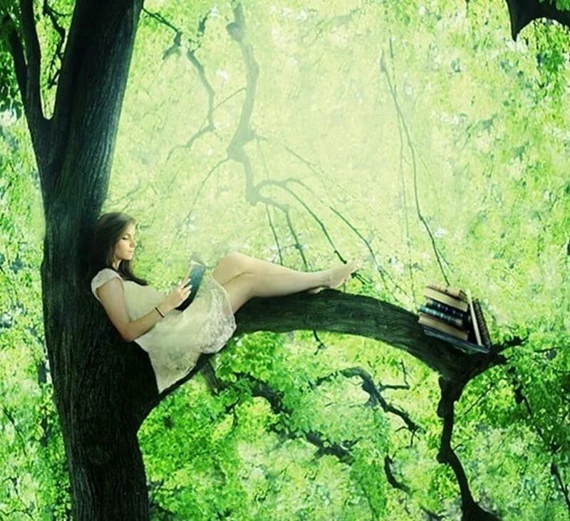 Человек стоит под деревом. Сидит на дереве. Силит на ветке дерева. Сидит на ветке дерева. Девочка сидит на ветке дерева.