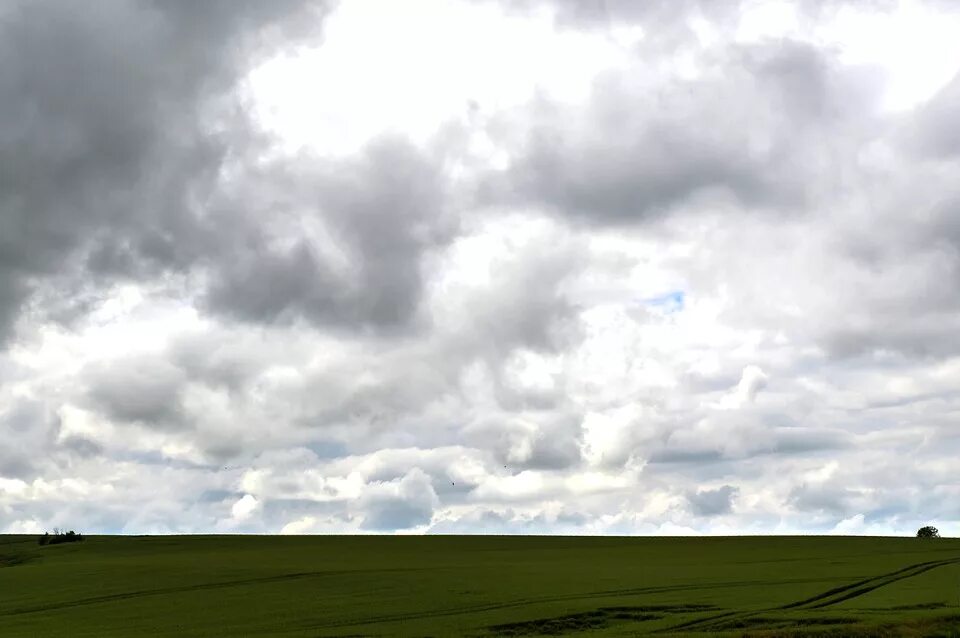 Cloud field