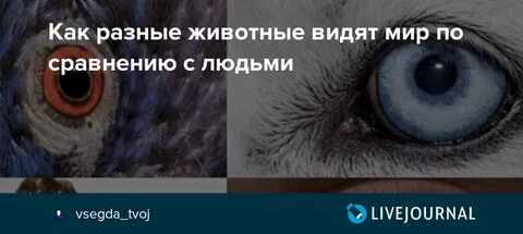 Почему машу видят только животные