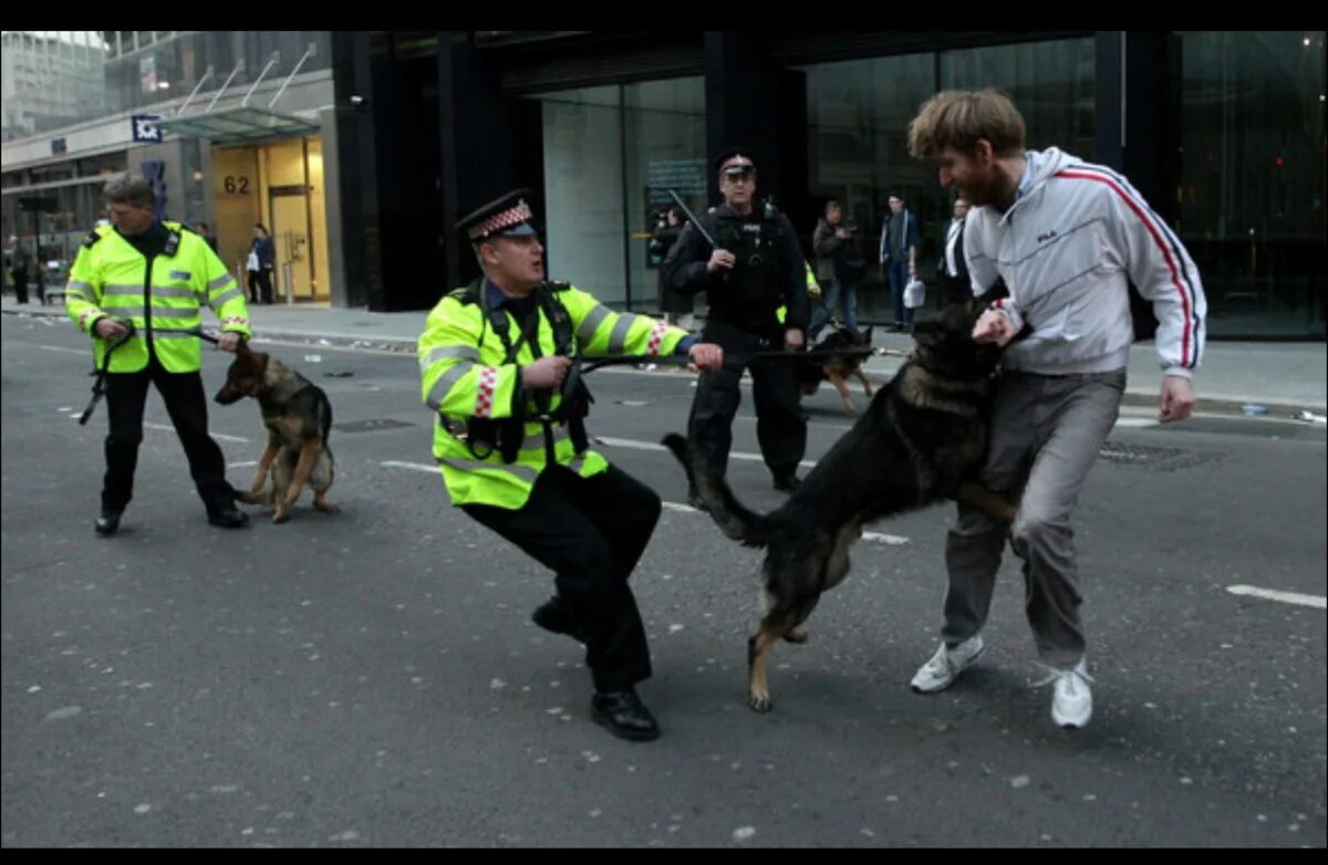 Разгон демонстрантов в англии. Полиция разгоняет демонстрантов. Голландия "собаками" протестующих. Либералы вы окружены это во первых. Конная полиция амстердам.