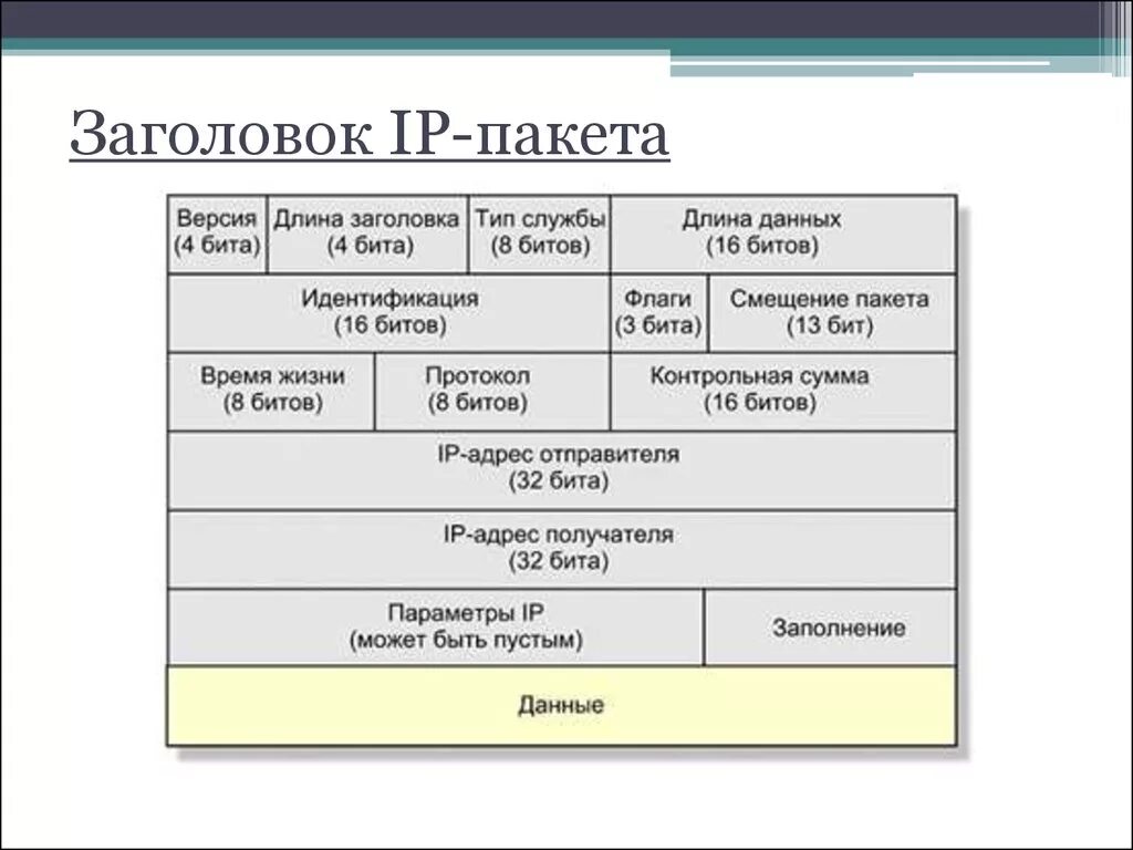 Сколько входит в пакет. Состав IP пакета поля. IP протокол структура пакета. Пакет TCP IP структура. Структура пакета Ethernet TCP/IP.