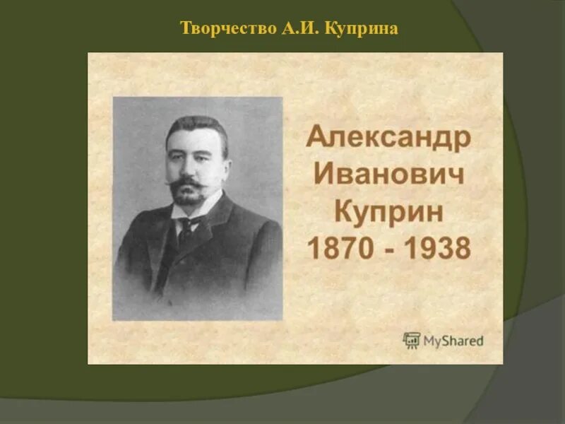 Читательский дневник куприн скворцы. Куприн скворцы. Куприн презентация. Рассказ Куприна скворцы.