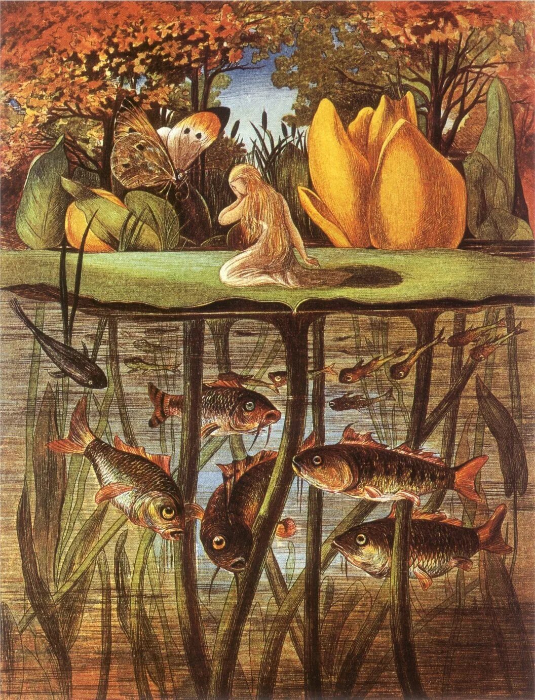 Иллюстрации разных художников. Иллюстрации hans christian anderson. андерсен дюймовочка иллюстрации. ганс христиан андерсен дюймовочка иллюстрации. ганс христиан андерсен живопись.
