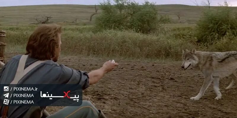 Танцующий с волками на русском языке. Энни костнер танцующий с волками. Уэс стьюди танцующий с волками. Кевин костнер танцующий с волками. Танцующий с волками на русском языке.