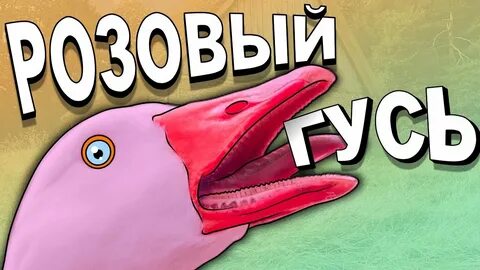 Розовый гусь смотрит