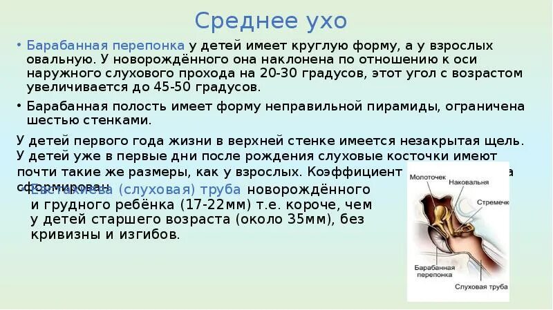 Орган слуха характеристики. Особенности строения среднего уха. Возрастные особенности органа слуха. Среднее ухо возрастные особенности. Особенности строения уха у детей.