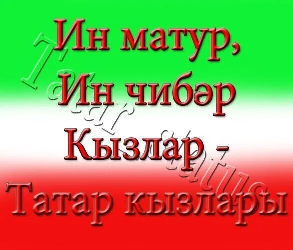 Эх на татарском. Девиз татар. Татарские приколы. Татарский девиз. Татарские девизы.