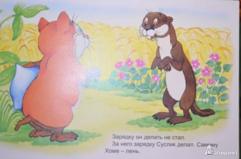 Сказка про хомяка и суслика слушать. Как хома рыбу ловил книга. Про хому и суслика. Хомяк и суслик аудиосказка. Как хома страшные истории рассказывал.