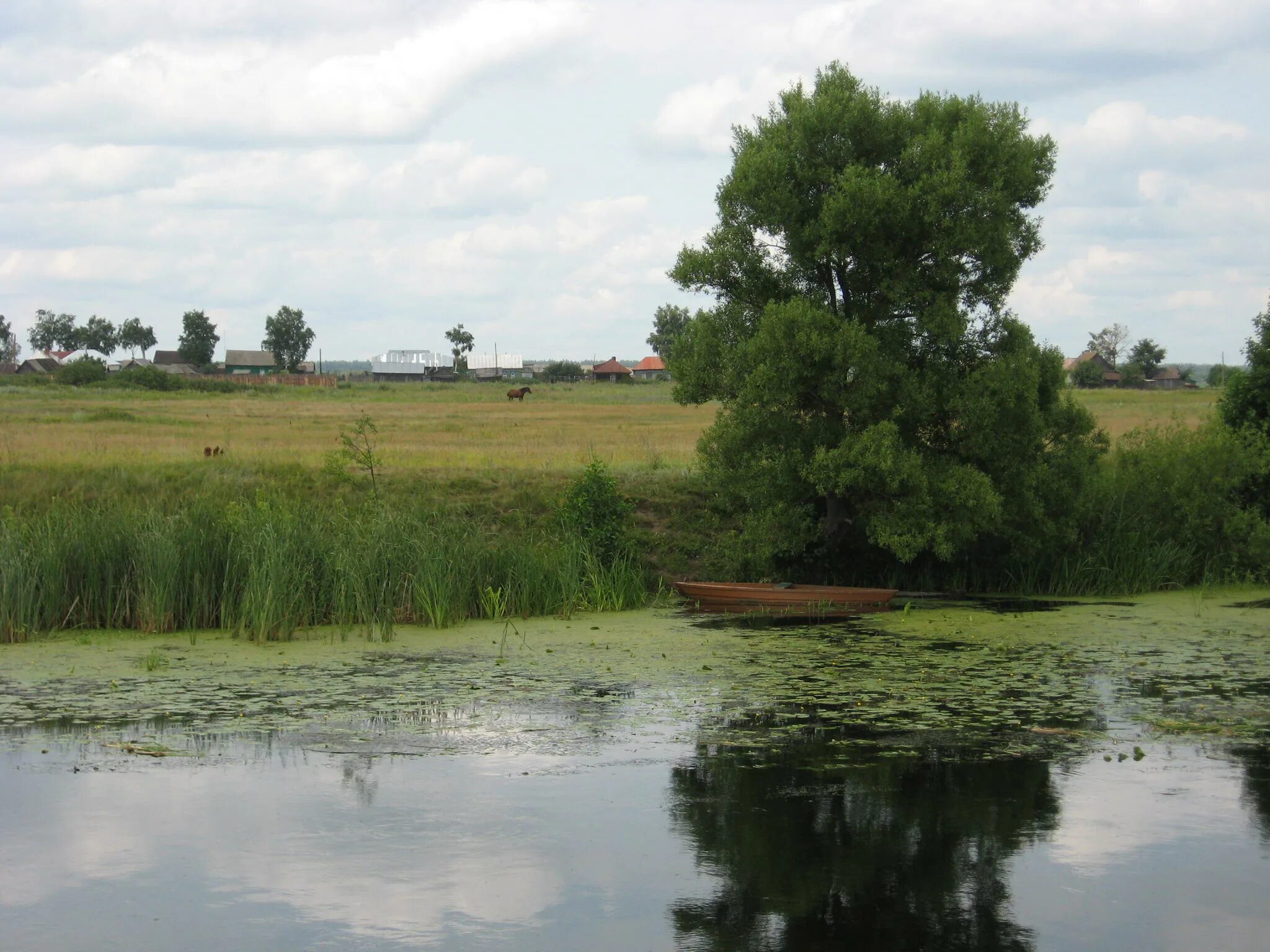 погода дельная дубрава тамбовская область. погода дельная дубрава тамбовская область. погода дельная дубрава тамбовская область. дельная дубрава тамбовская область. село красная дубрава пензенская область.