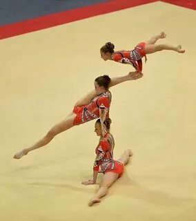 Гимнастика спортивное единоборство