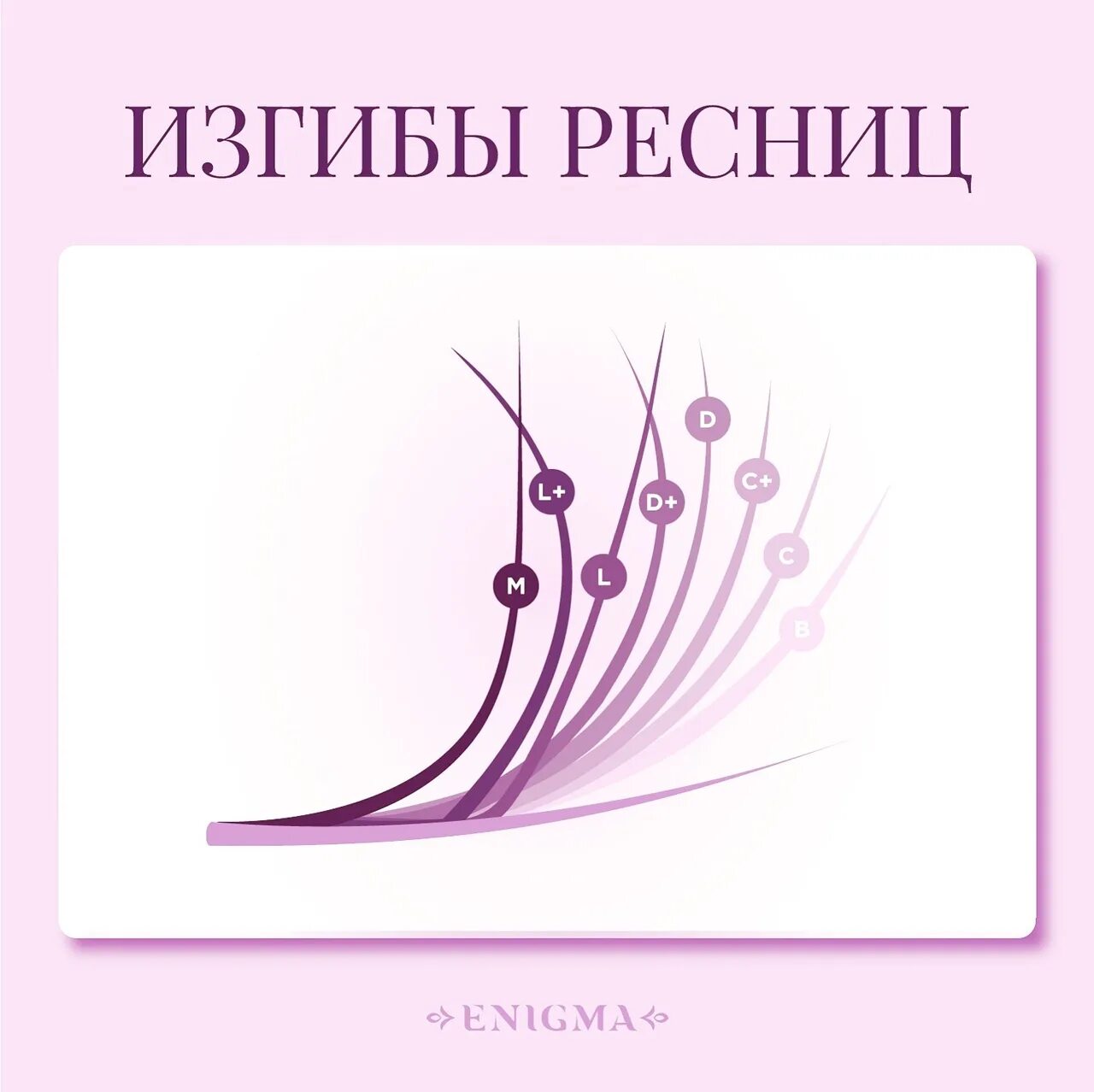 Энигма изгибы. Изгибы ресниц энигма. изгибы энигма. изгибы ресниц энигма фото. изгибы ресниц enigma.