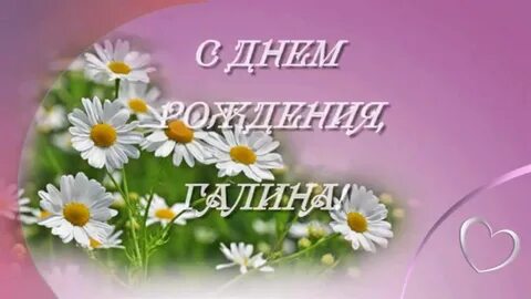 Галине 70 открытка