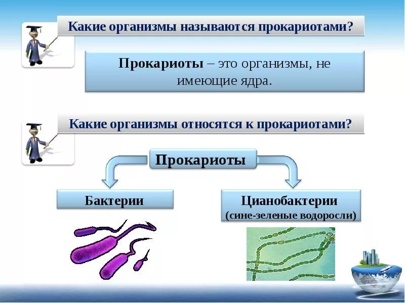 Организмы прокариоты. Кто относится к прокариотам. Какие организмы называются прокариотами. К прокариотическим организмам относятся.