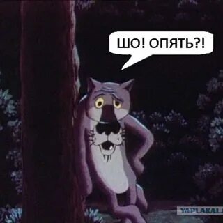 Опять что то будет