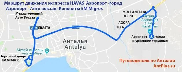 Как доехать до центра на автобусе
