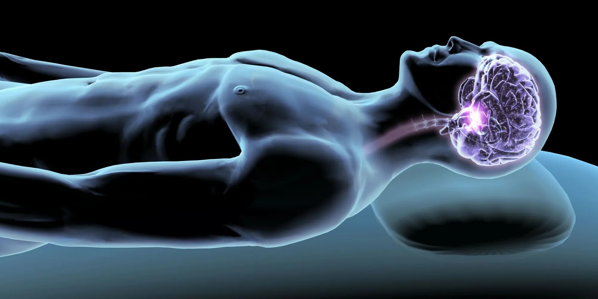 Sleeping brains