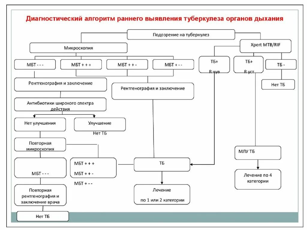 Алгоритм осмотра ребенка. Алгоритм диагностики туберкулеза. Алгоритм выявления больных туберкулезом. Диагностический алгоритм обследования ребенка на туберкулёз. Алгоритм диагностики туберкулеза органов дыхания.