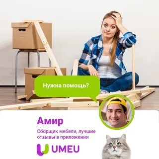Включи бесплатный