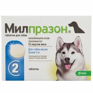 Лекарство для собак