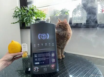 Polaris puh iq home