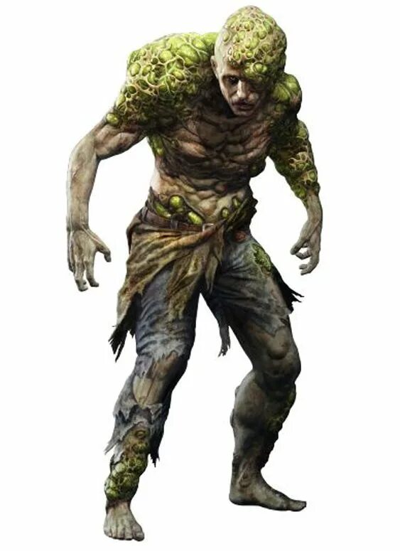 Зомби днд. Зомби днд. Зомби днд. Монах dnd 5. Зомби днд.