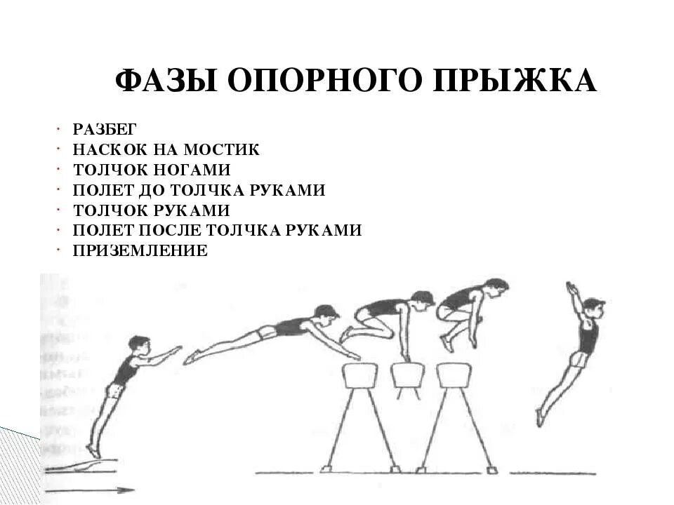 Какие фазы опорного прыжка. Техника опорного прыжка. фазы опорного прыжка в гимнастике. фазы опорного прыжка согнув ноги. фазы выполнения прыжка через козла.
