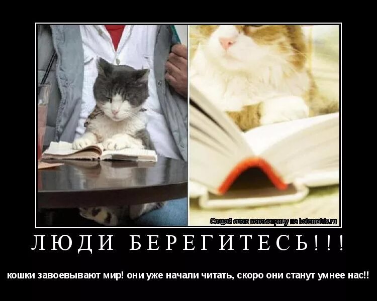 Кот на работе картинки. Шутки про кулинарию. Работаем до упора я уже упоролась. Они уже начали работу. Когда вы начали работать в этой компании.