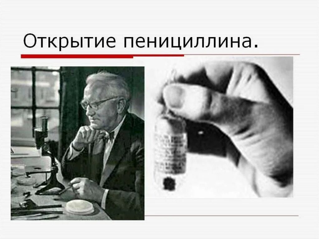 1928 год пенициллин. Антибиотики пенициллин Флеминг. Пенициллин 20 века. Открытие антибиотика пенициллина. Пенициллин изобретение 20 века.