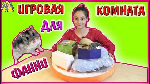 Хомяки алиса изи