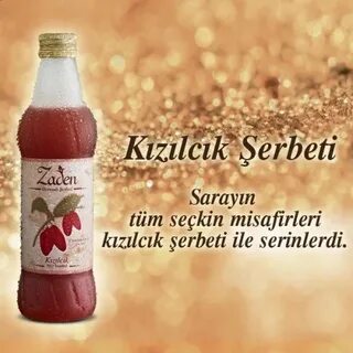 Kızılcık şerbeti 48