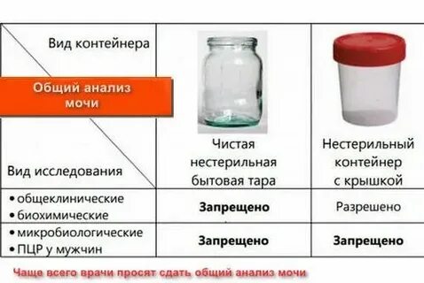 Сколько мл сдавать мочу на анализ