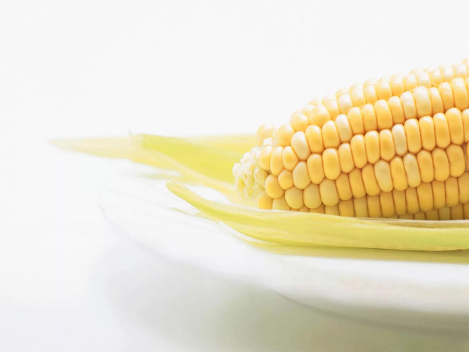 Кукуруза. Кукуруза фон. Вареная кукуруза. Кукуруза (зерно). Corn на русском