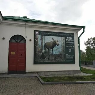Новый музей природы