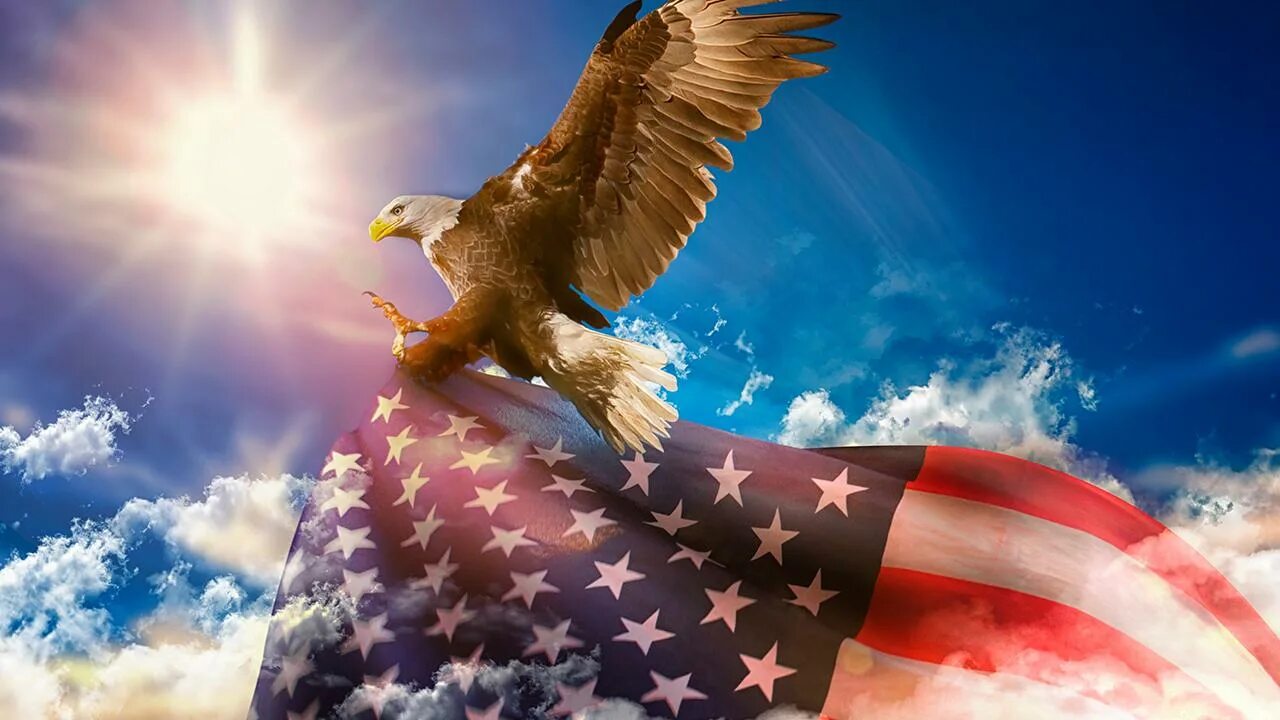 Флаг орла. Флаг США С орлом. Орел Америка. Белоголовый Орлан на флаге США. Звук орла америка