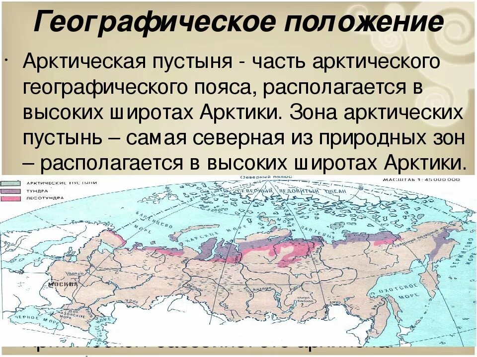 В каком поясе находится тундра