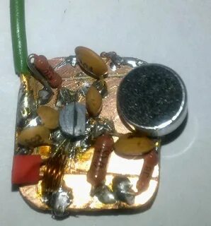 Как выглядят жучки