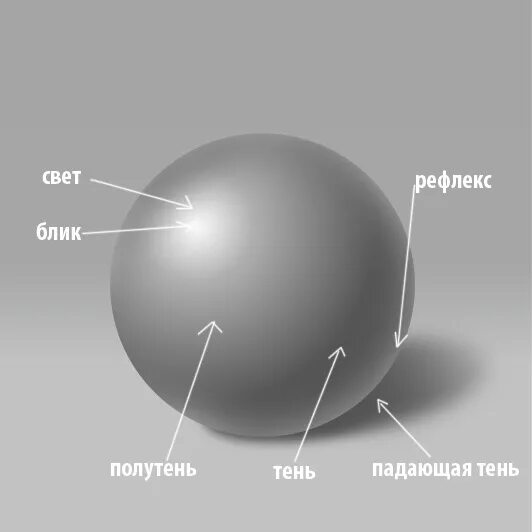 Между свет м и тенью. Шар тень полутень блик рефлекс. Тень полутень рефлекс. Шар с тенями и бликами. Светотень в рисунке.