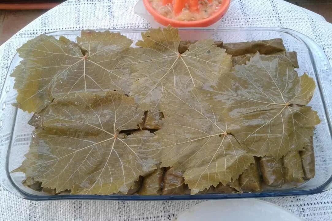 Как засолить виноградные листья на зиму. Маркетт виноград фото листа. чем заменить виноградные листья для долмы.